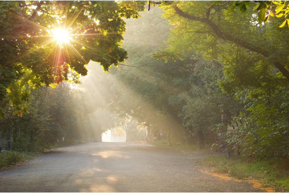 「アイデンティティのお引越し」後に起きた、驚くべき変化