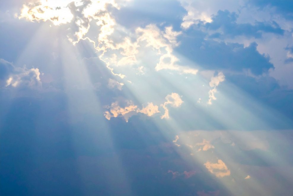 アムリタの体験——「甘々」が引き寄せた、不死の甘露